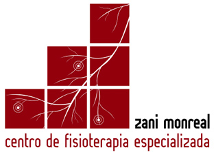 logo Zani Monreal