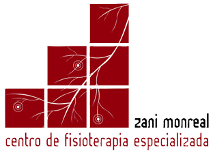 Zani Monreal Centro Fisioterapia Especializada